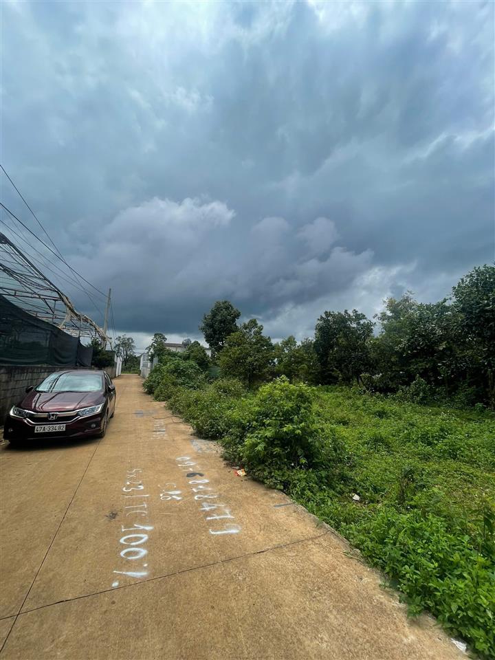 hình ảnh số 1121