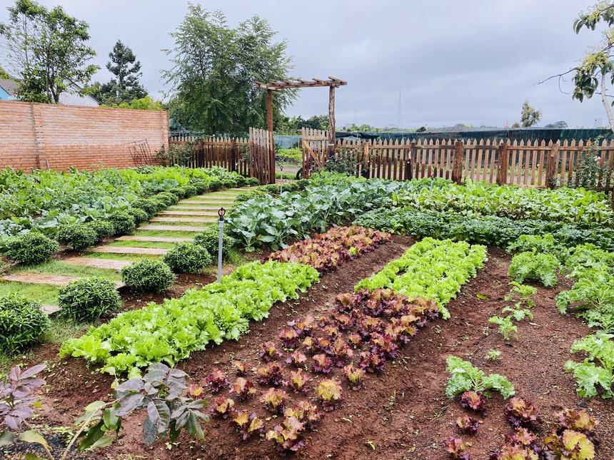 hình ảnh số 1130