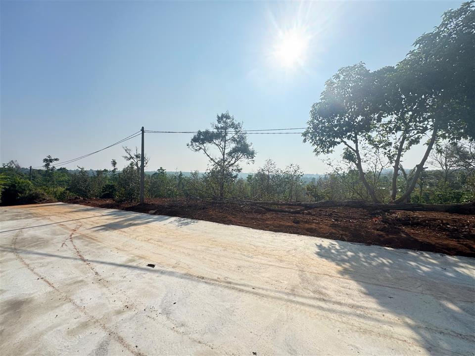 hình ảnh số 1129