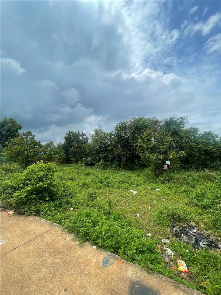 hình ảnh số 1124