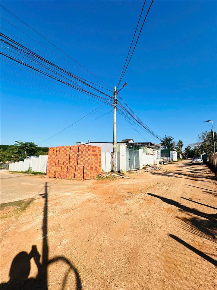 hình ảnh số 1133