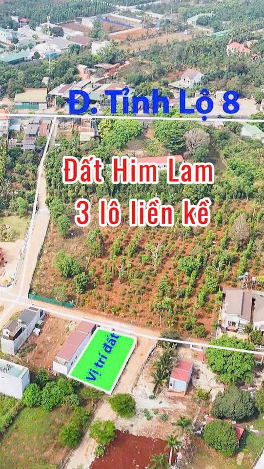 hình ảnh số 1131